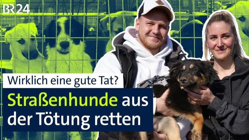 Ein Mann und eine Frau halten einen Hund auf den Armen. | Bild: BR Ein Mann und eine Frau halten einen Hund auf den Armen.