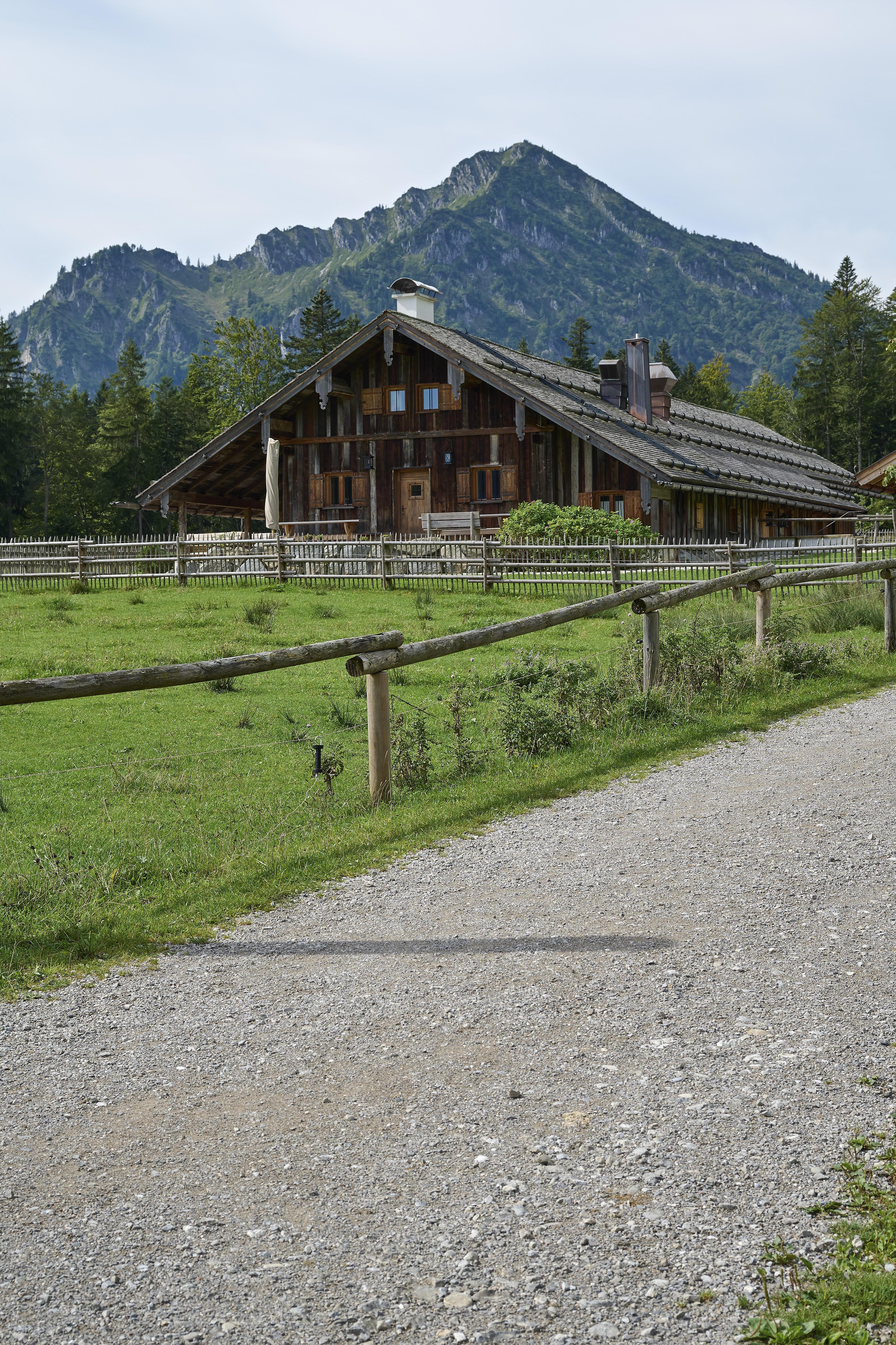 Saurüsselalm vor dem Ochsenkamp bei Bad Wiessee am Tegernsee