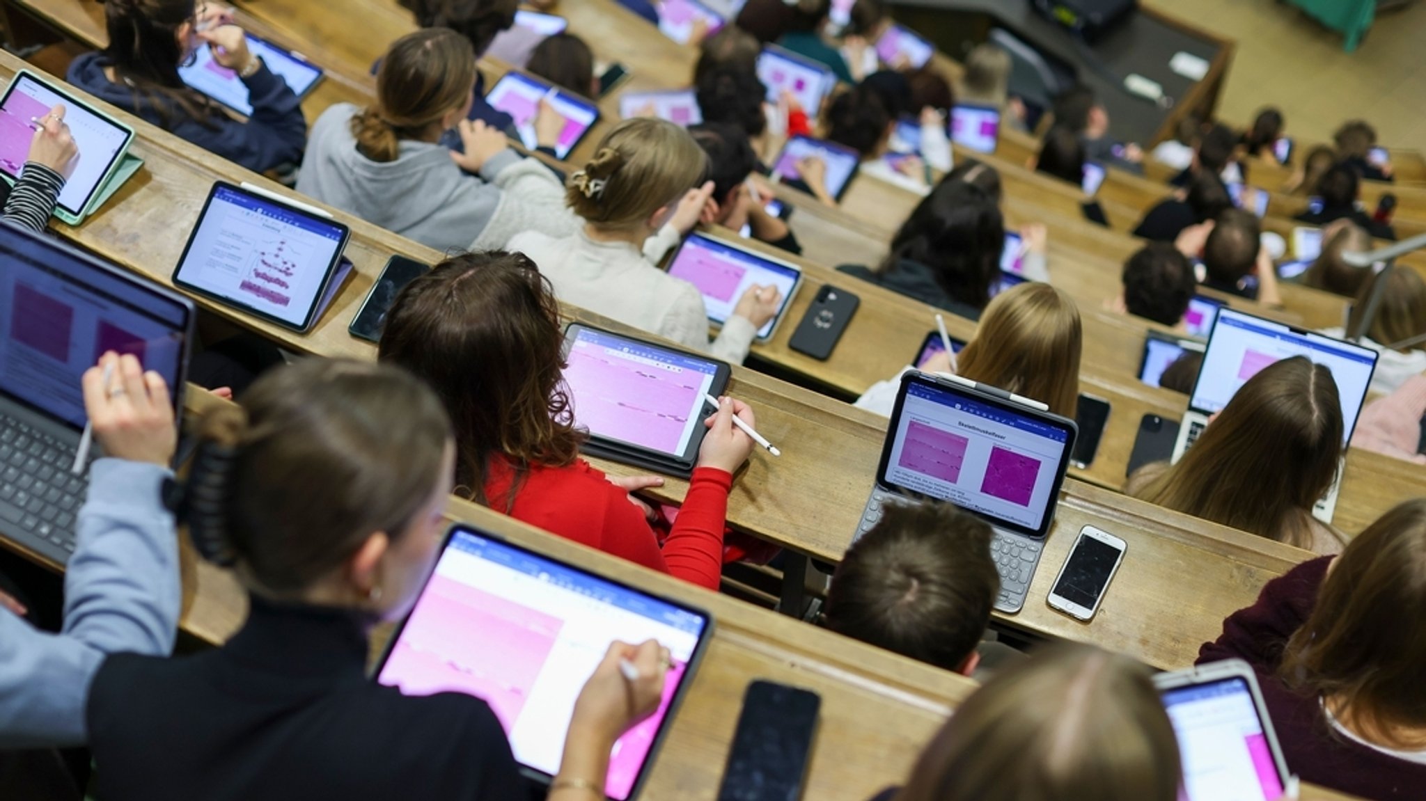 Mehr Geld für Studenten? Verwirrung um geplante BAföG-Reform 