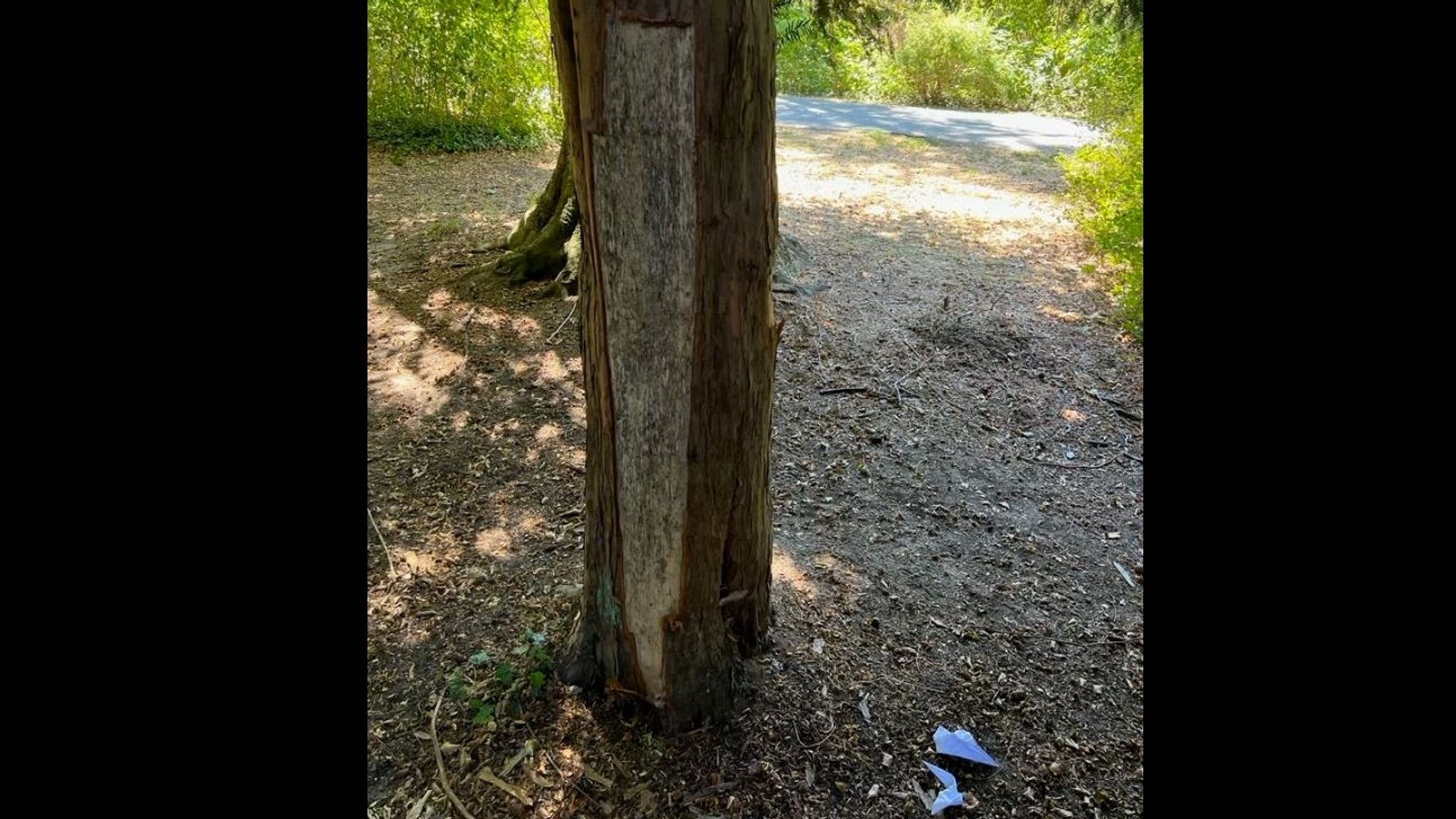 Unbekannte beschädigten Bäume im Nürnberger Stadtpark