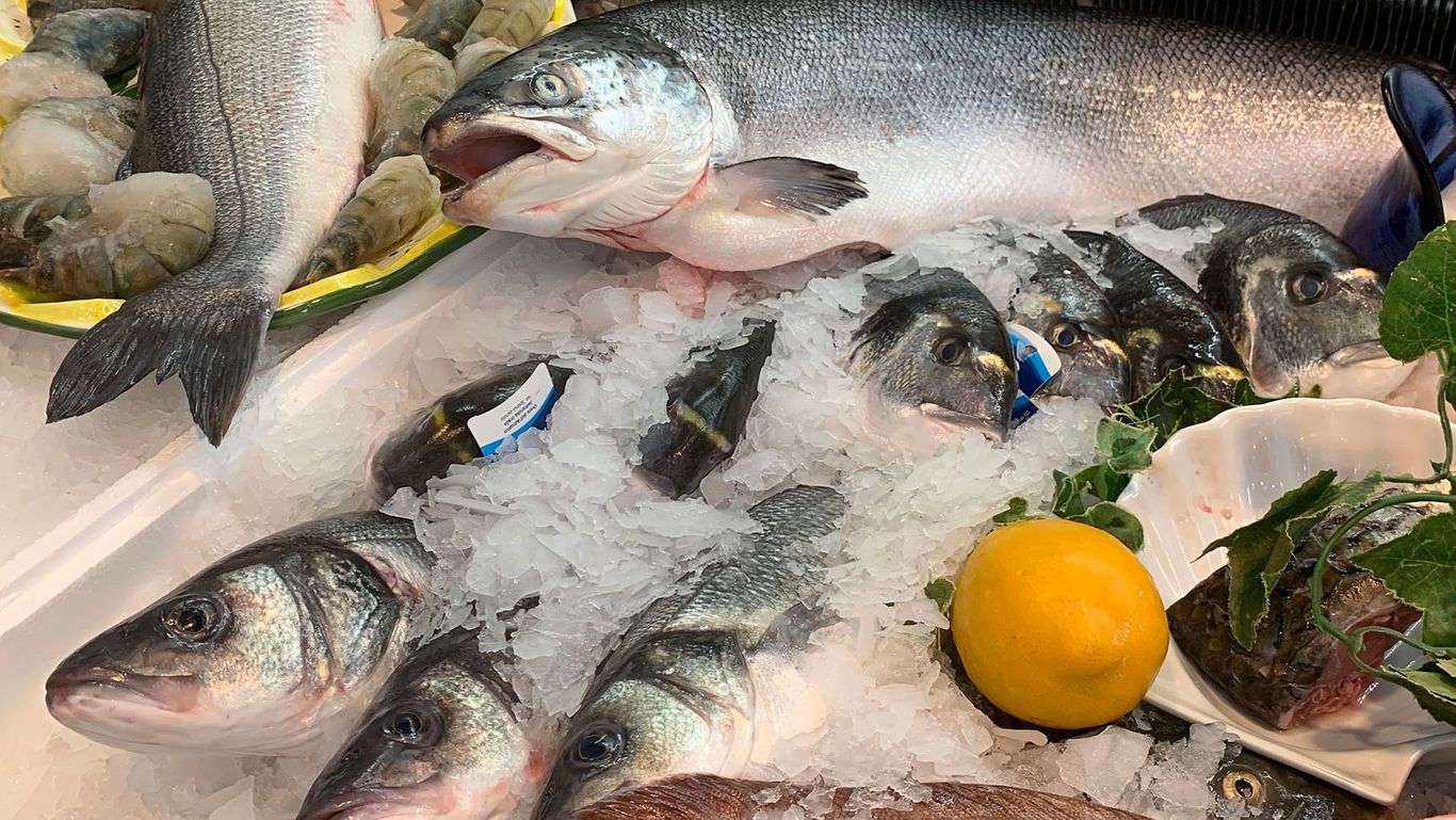 Fisch angerichtet auf Eis