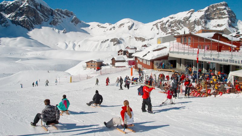 Symbolbild: Ski und Rodelpiste | Bild: picture alliance / Global Travel Images | Global Travel Images Symbolbild: Ski und Rodelpiste