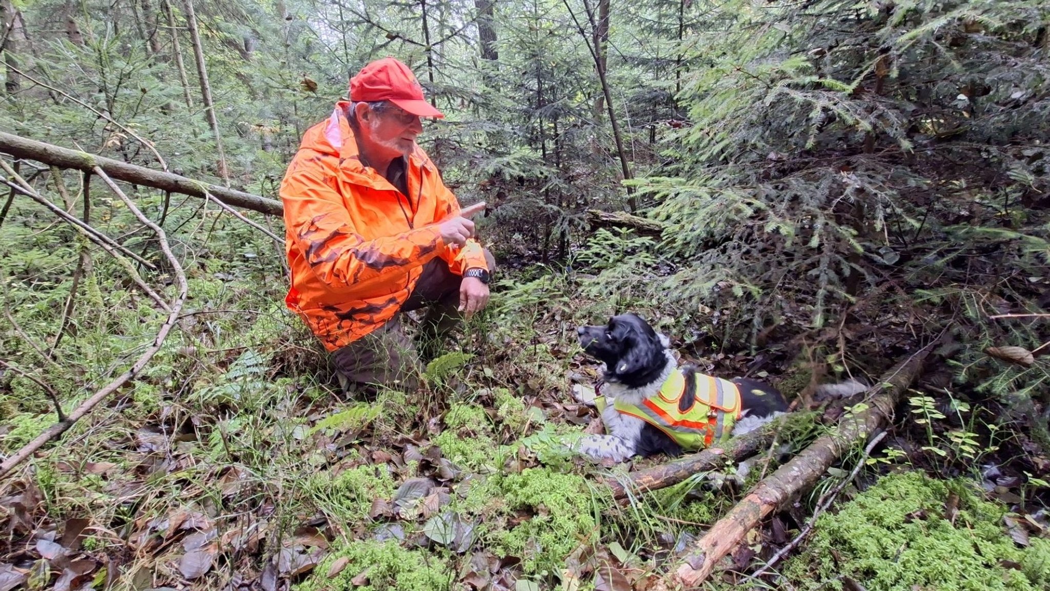 "Pepper" und sein Besitzer Karlheinz Wagner bei einer Übung im Wald