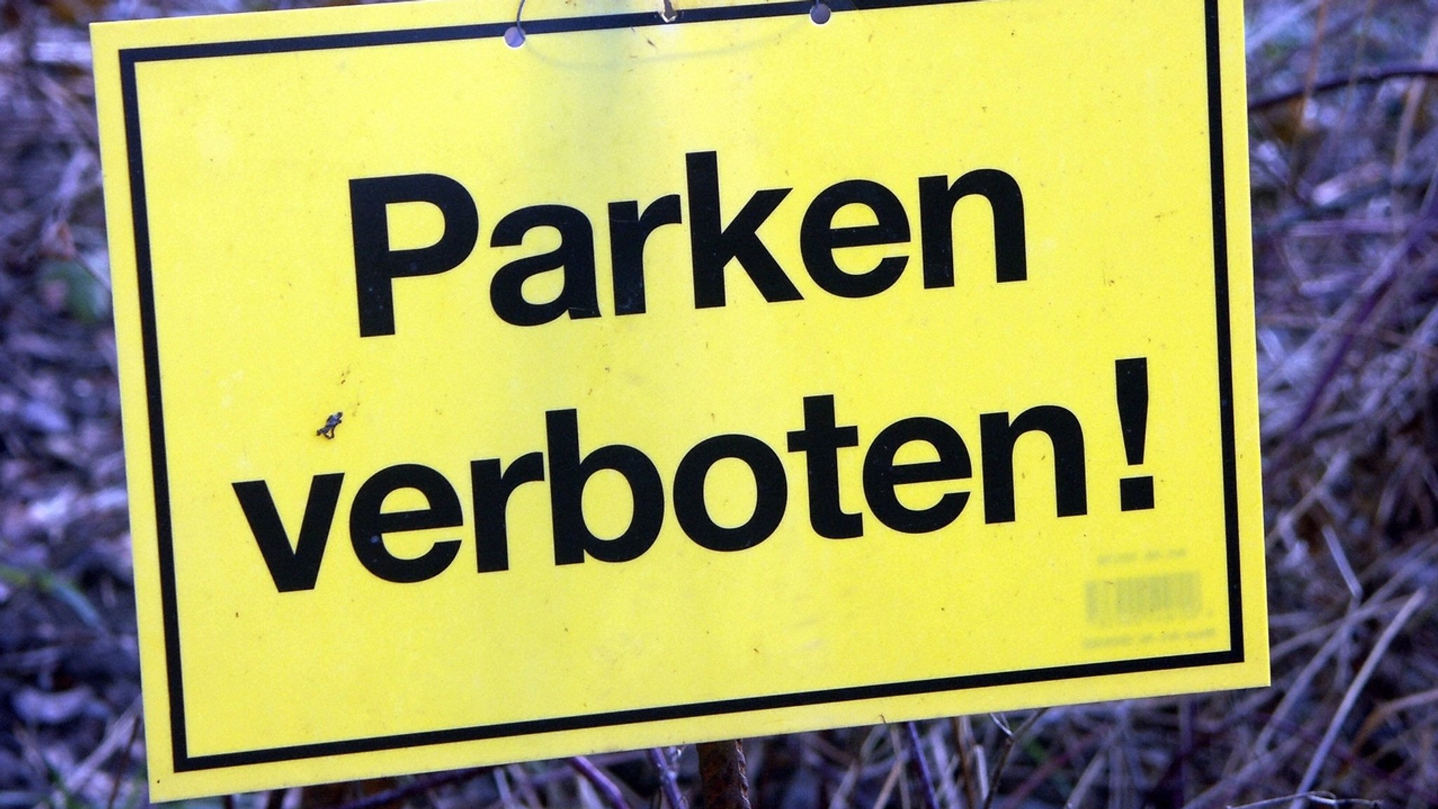 Bild: pa/dpa/McPHOTOs