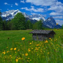 Heile Welt - ein Feiertags-Feuilleton | Bild: pa/dpa