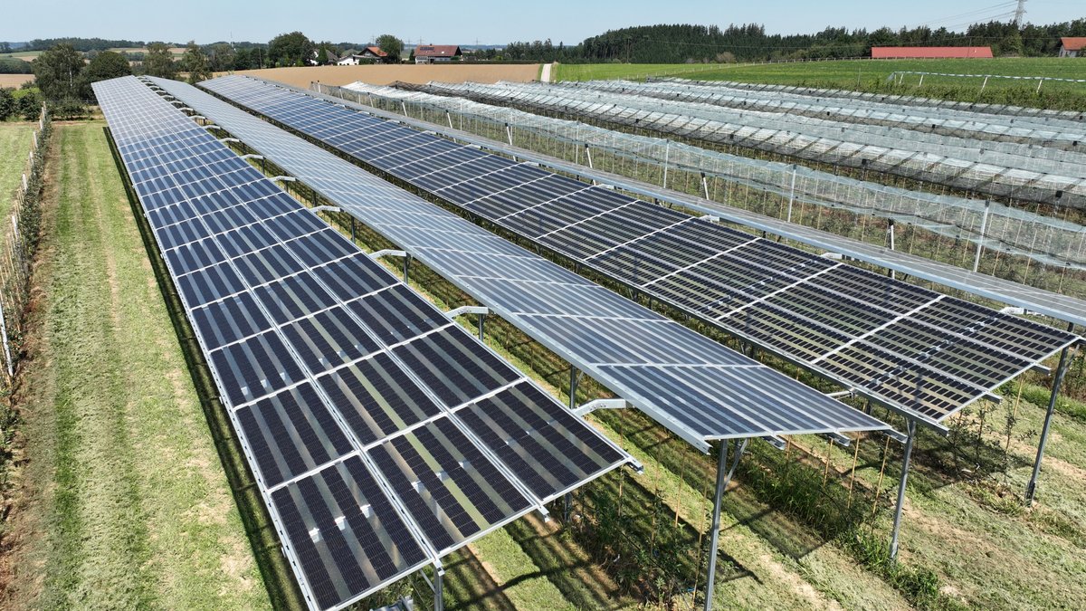 Die PV-Anlage in Deutenkofen soll das Obst vor Sonnenbrand schützen