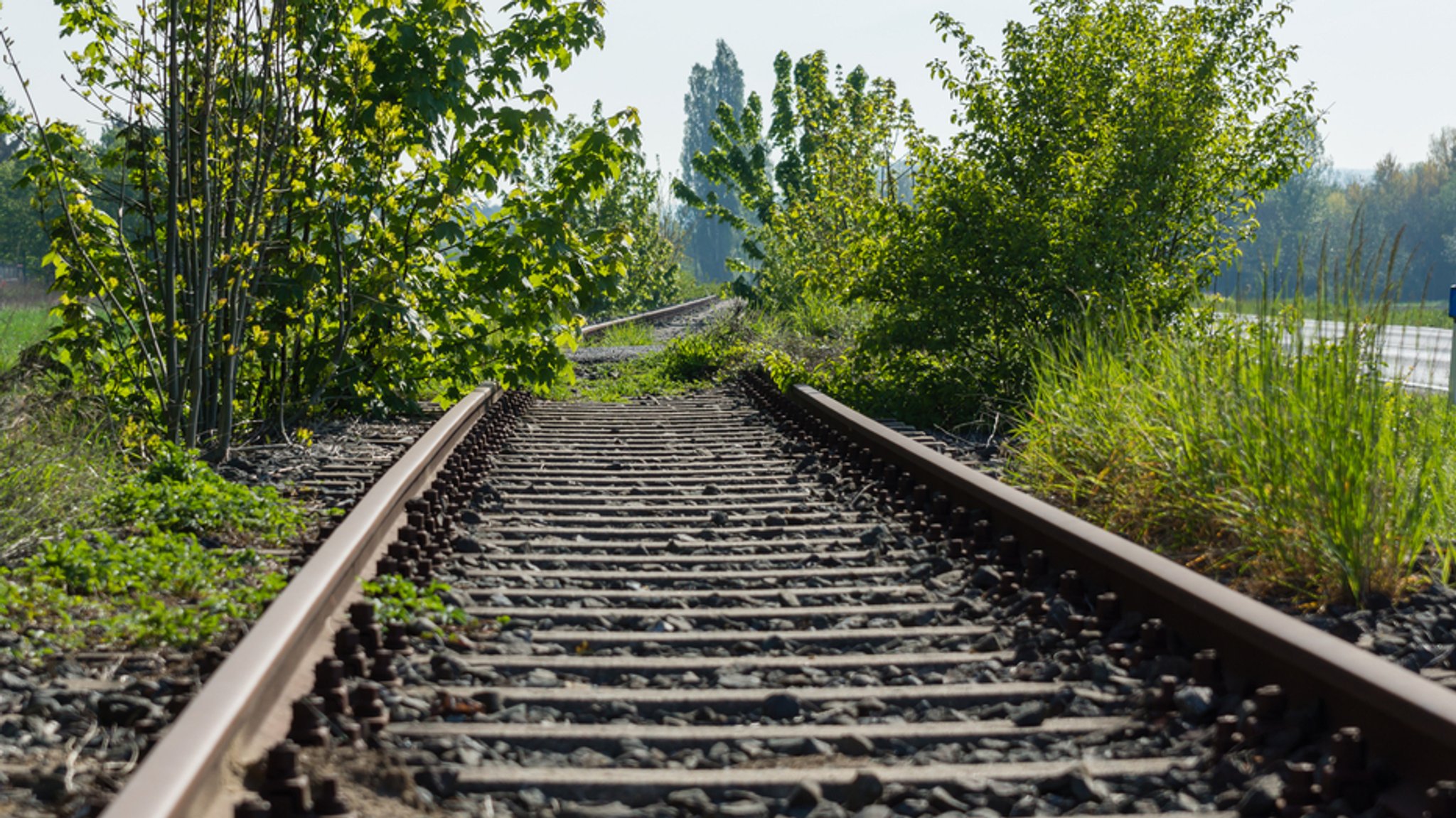 Stillgelegte Bahnstrecke | Bild: stock.adobe.com/SKatzenberger Stillgelegte Bahnstrecke