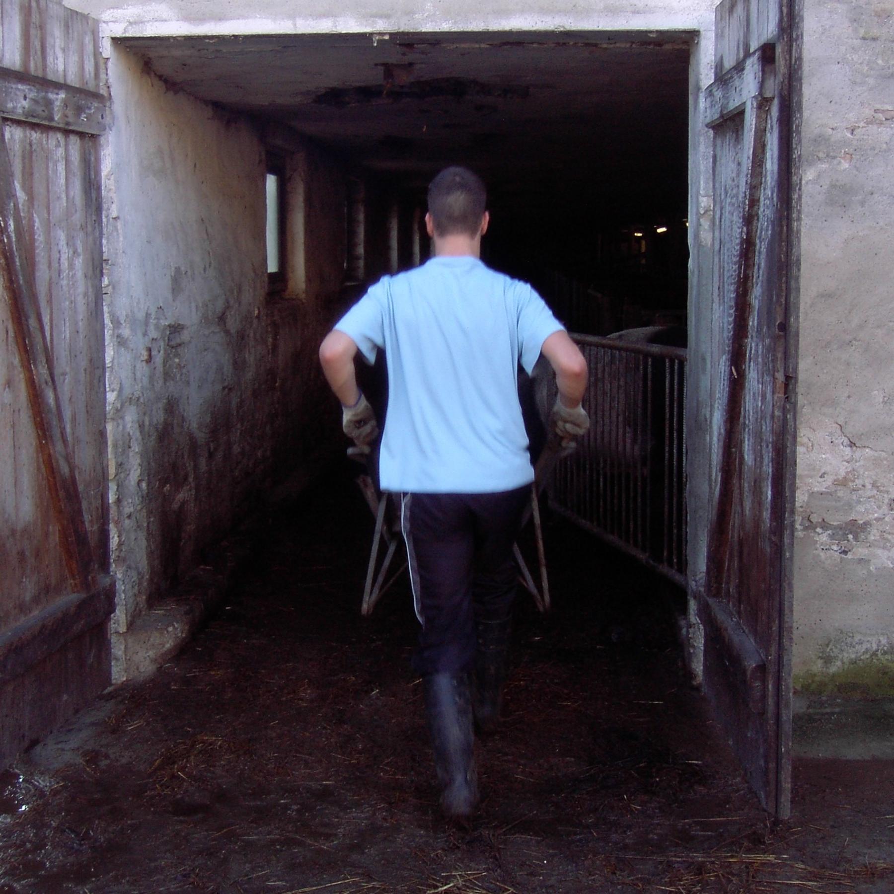 Weg von Kriminalität und Drogen - Jugendliche auf dem Therapiebauernhof Teil 1/2