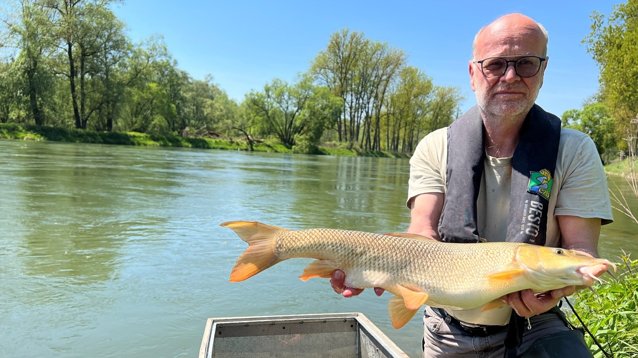 Gewässerökologe Gerald Zauner präsentiert einen gefangenen Fisch