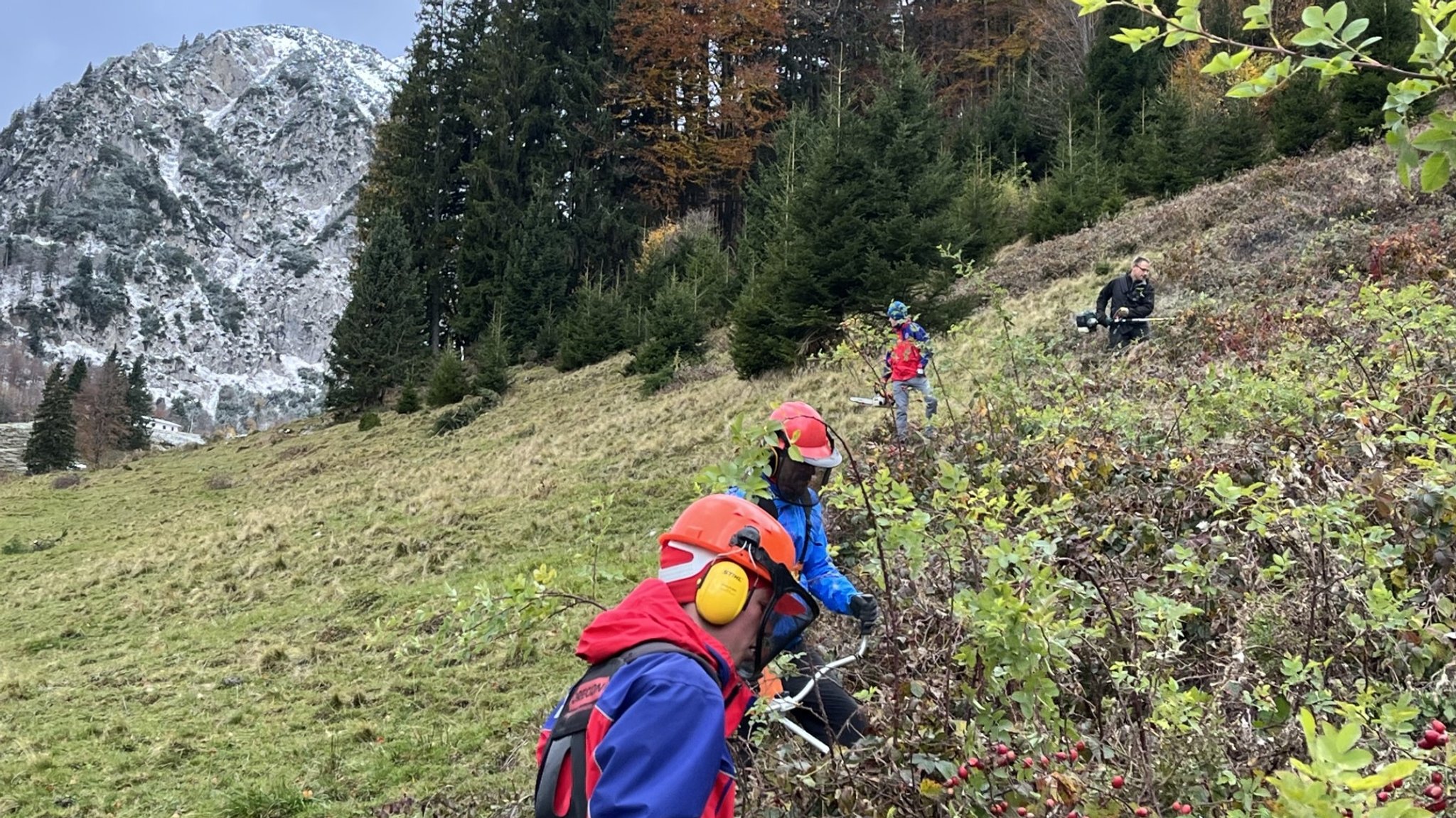 Menschen mit Motorsensen im Gestrüpp, im Hintergrund ein Bergwald und ein steiniger Berg.