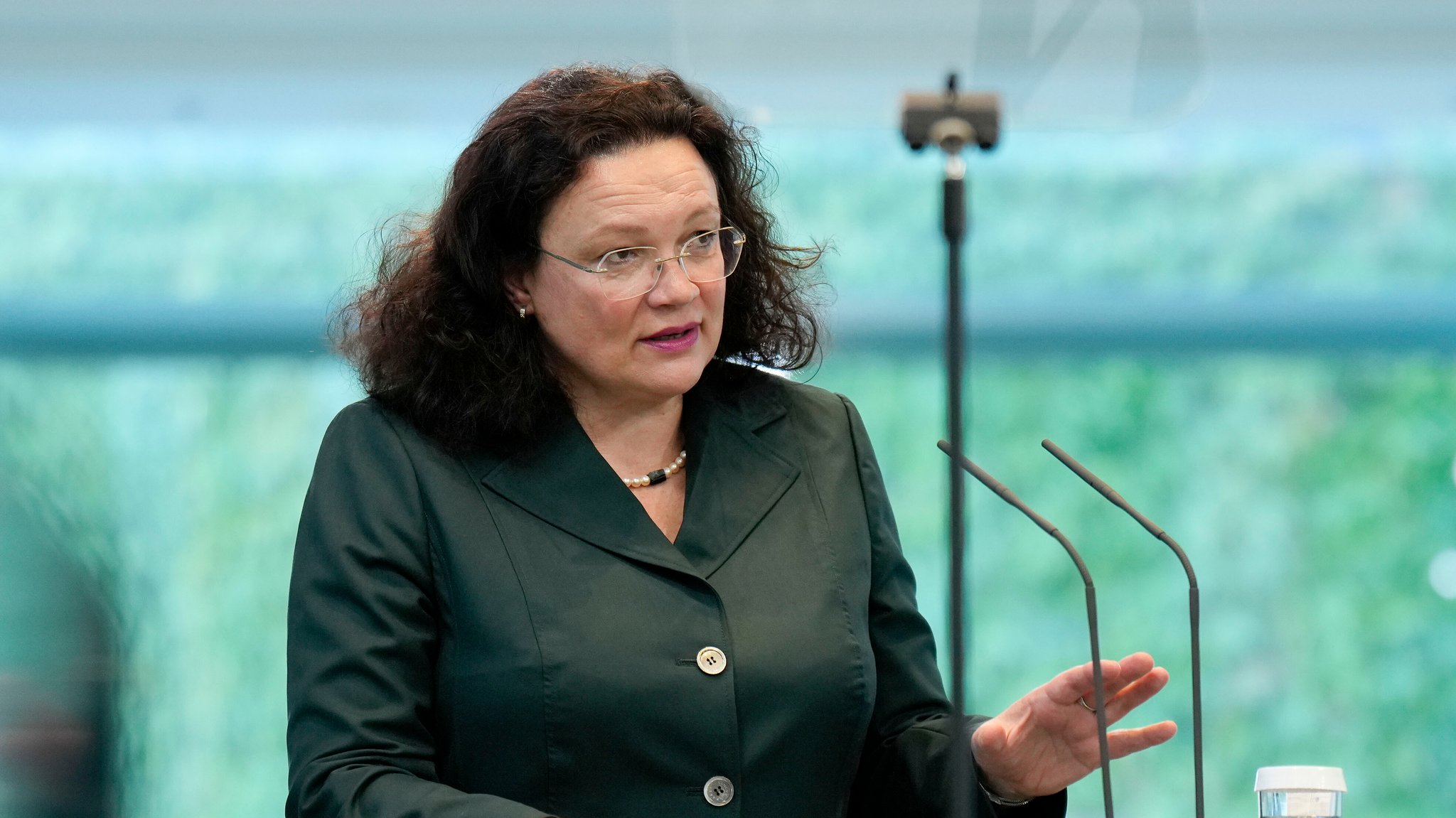 BA-Chefin Andrea Nahles