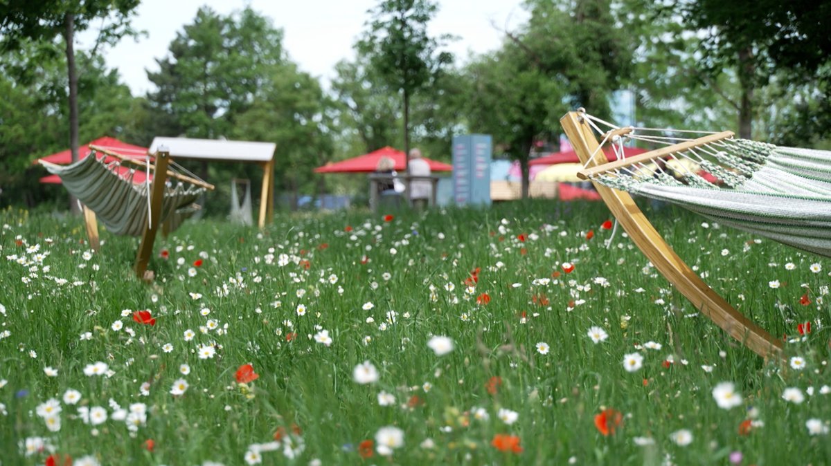 "Summer of love" - Landesgartenschau in Kirchheim gestartet