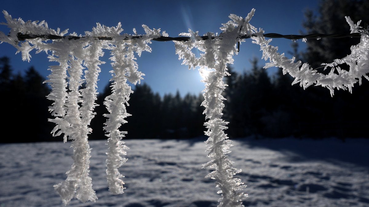 Sonne und milde Temperaturen zum Wochenende