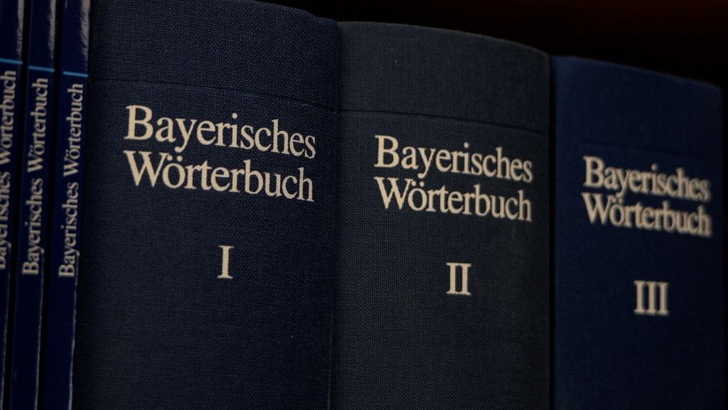 Buchrücken der drei Bände des Bayerischen Wörterbuchs, die bislang veröffentlicht wurden.