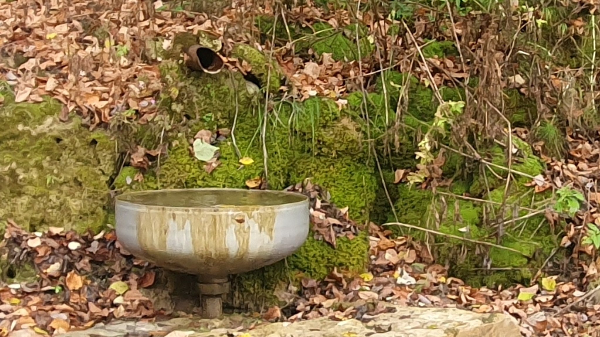 Zerstörter Quellbach bei Drügendorf