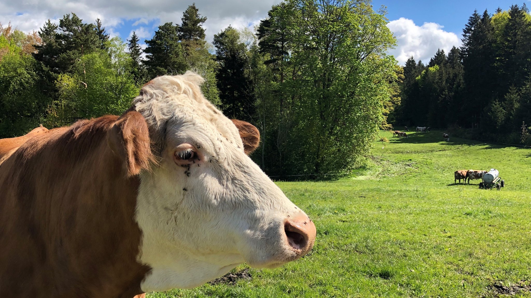 Landwirte wehren sich gegen eine Allgemeinverfügung der Regierung von Oberbayern.