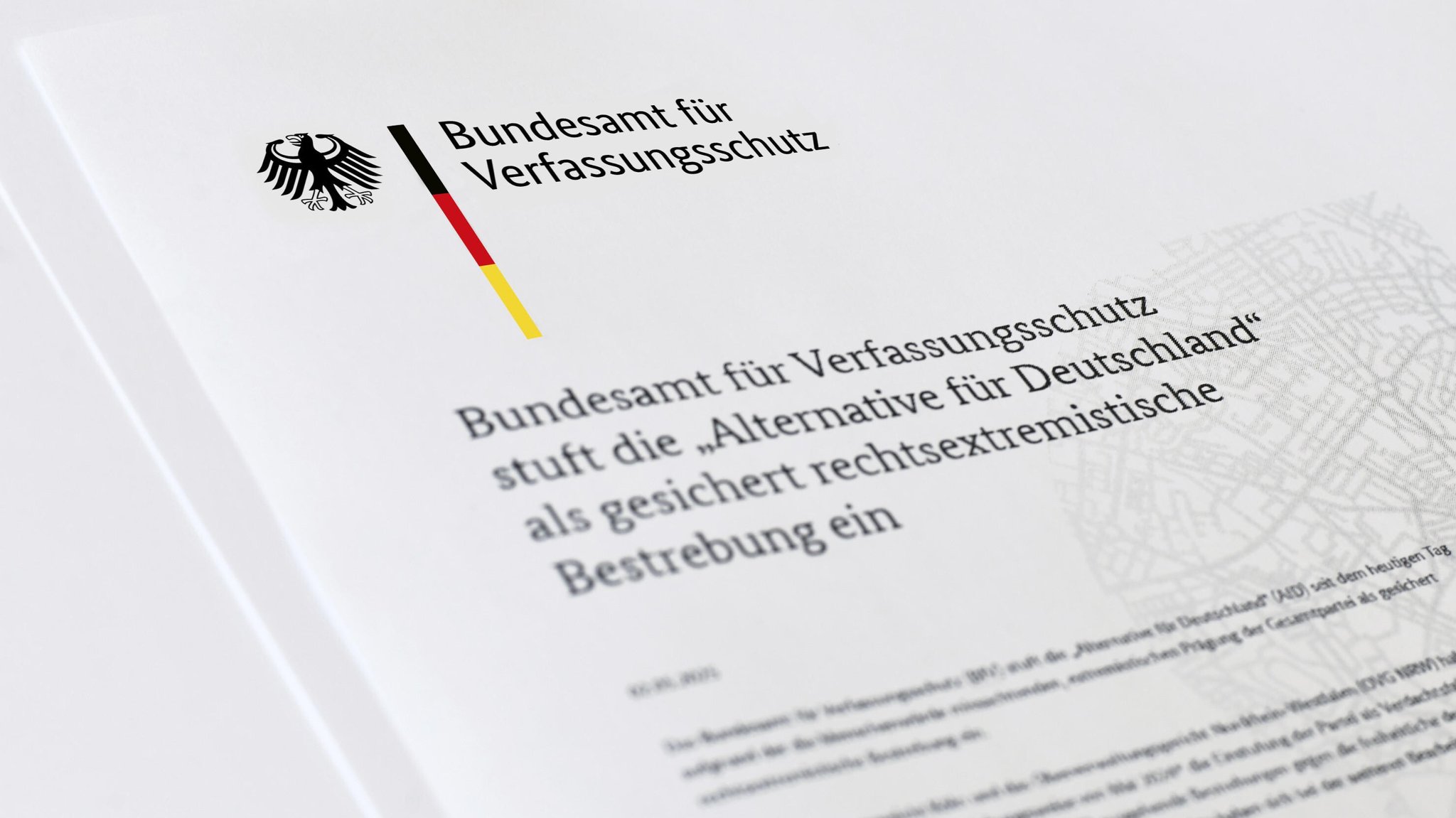AfD als rechtsextrem eingestuft – Deutsche unbeeindruckt