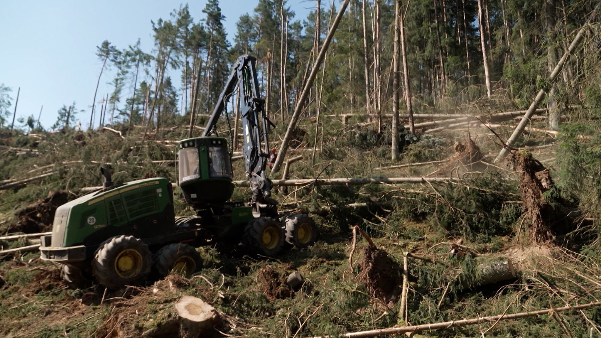 Aufräumen in einem Wald bei Regenstauf, der durch das schwere Unwetter im Juli verwüstet wurde.