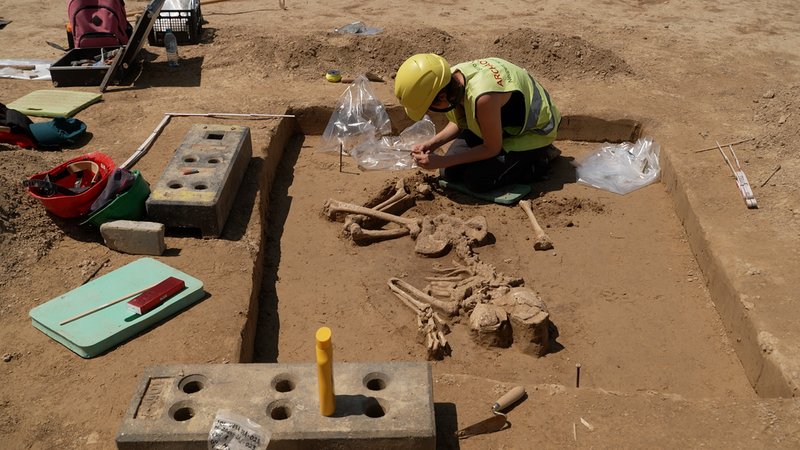 Eine Anthropologin packt bei Grabungen nahe Mintraching vorsichtig Knochen eines menschlichen Skeletts in Tüten, das über 4.000 Jahre alt ist. | Bild: BR/Sebastian Sitzberger Eine Anthropologin packt bei Grabungen nahe Mintraching vorsichtig Knochen eines menschlichen Skeletts in Tüten, das über 4.000 Jahre alt ist.
