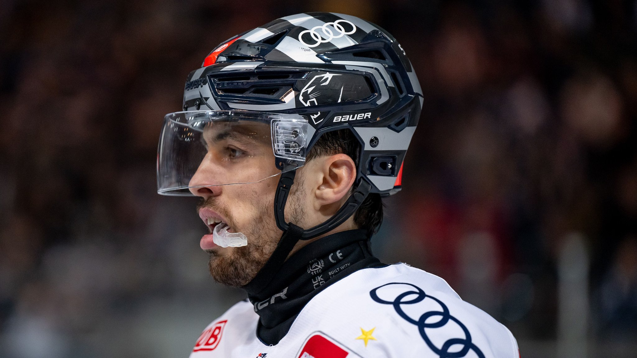 Niederlage gegen Bremerhaven - ERC Ingolstadt droht Playoff-Aus