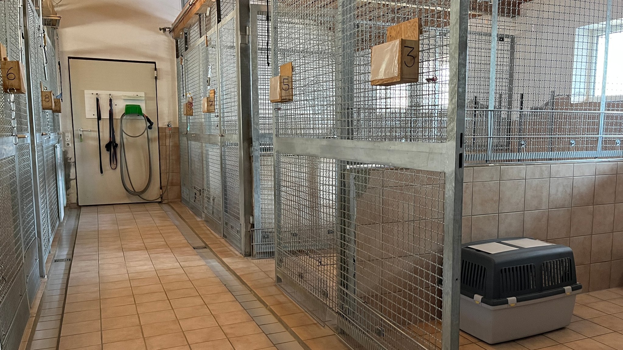 Gähnende Leere im Hundehaus des Marktoberdorfer Tierheims.