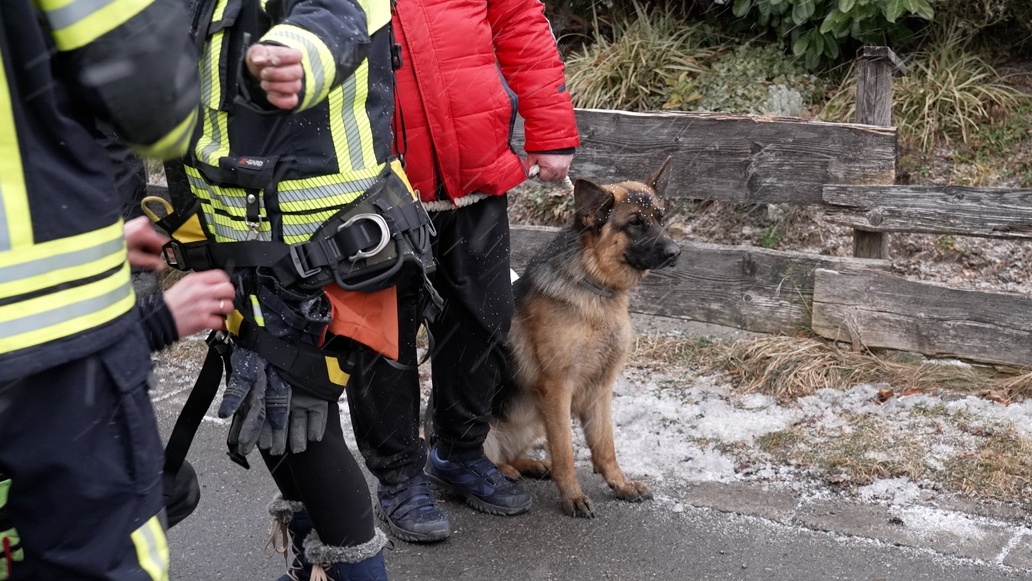 Feuerwehrkräfte mit dem geretteten Schäferhund.