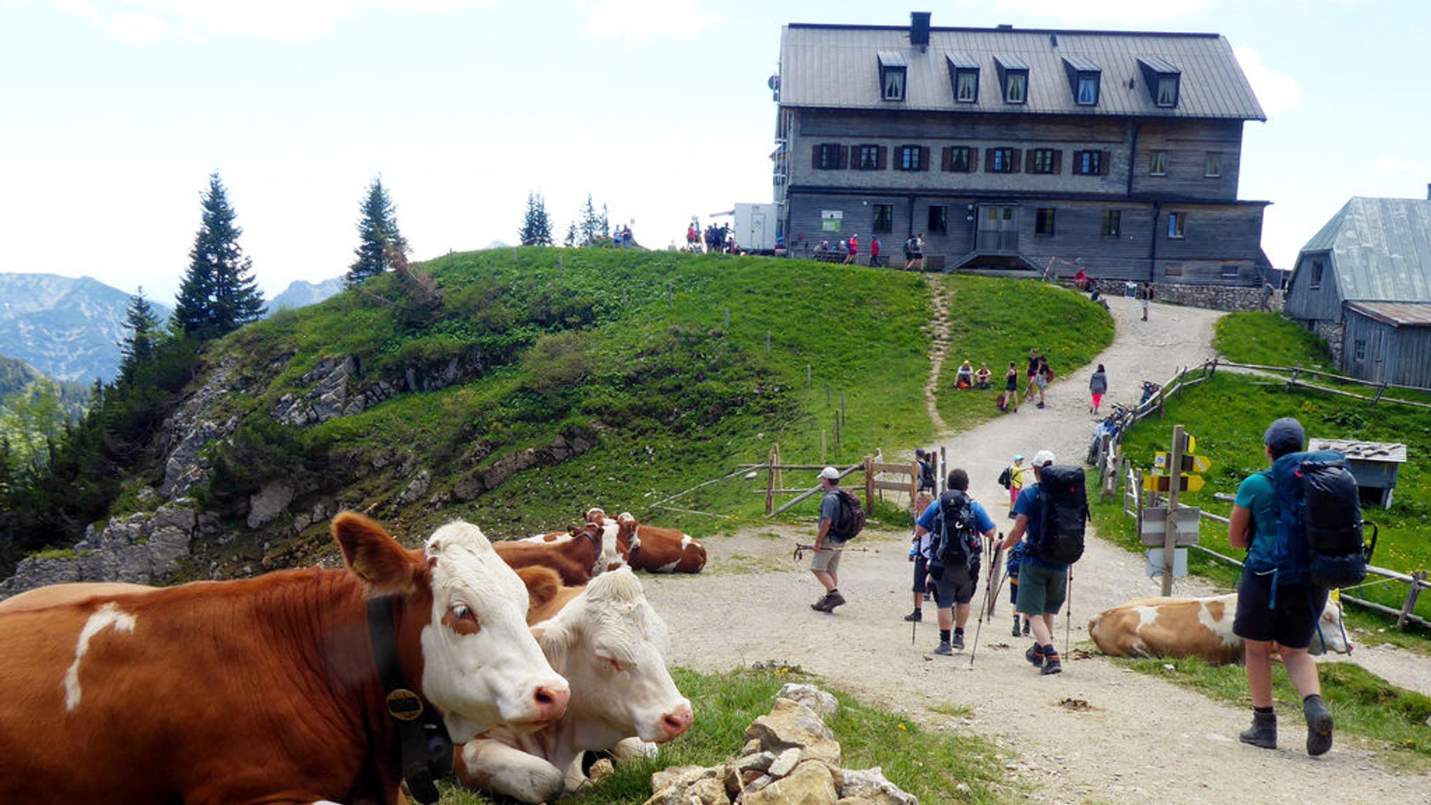 ARCHIV - 13.06.2020, Bayern, Schliersee: Wanderwege führen zum Rotwandhaus des Deutschen Alpenvereins (DAV) im Mangfallgebirge. Es liegt auf einer Höhe von 1.737 Metern. (zu dpa: «Rotwandhaus kämpft gegen Keime im Wasser - Notbetrieb») Foto: Angelika Warmuth/dpa +++ dpa-Bildfunk +++