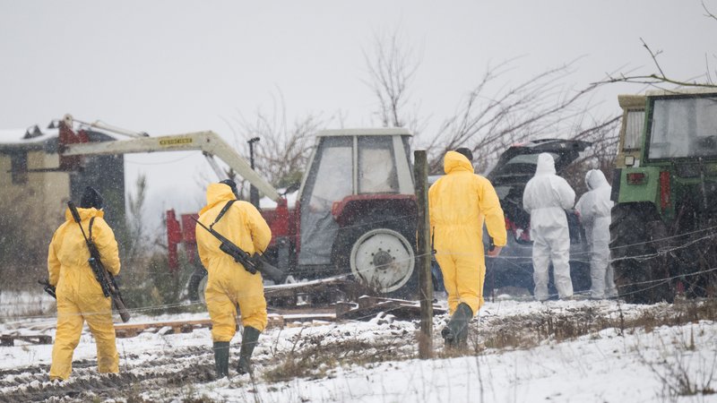 Männer in Schutzkleidung gehen zu einem Stall im Landkreis Märkisch-Oderland. In dem Kreis gibt es Fälle von Maul- und Klauenseuche. | Bild: picture alliance/dpa | Sebastian Gollnow Männer in Schutzkleidung gehen zu einem Stall im Landkreis Märkisch-Oderland. In dem Kreis gibt es Fälle von Maul- und Klauenseuche.