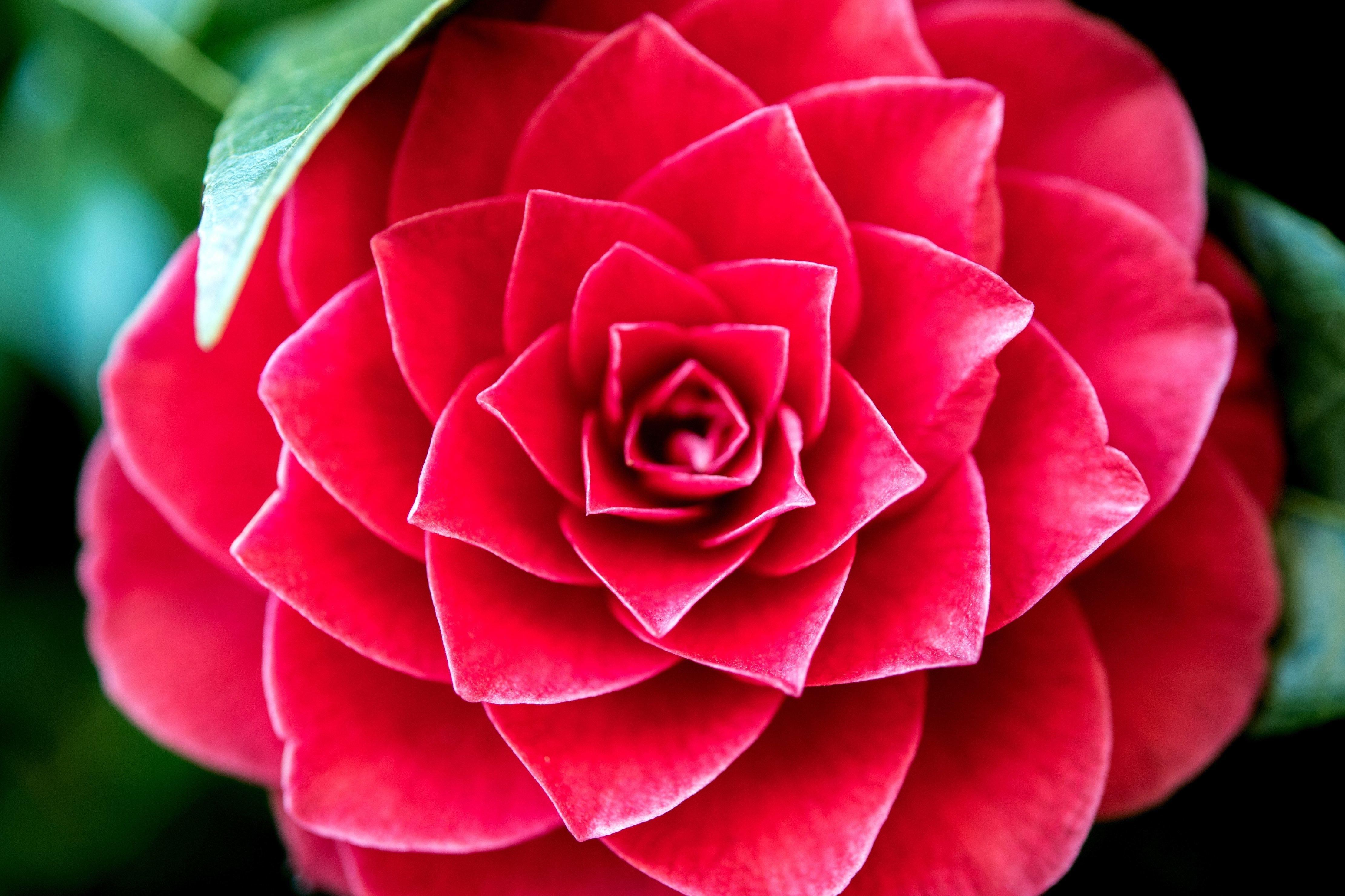 Nacht Der Sinne Im Botanischen Garten Hof Br24