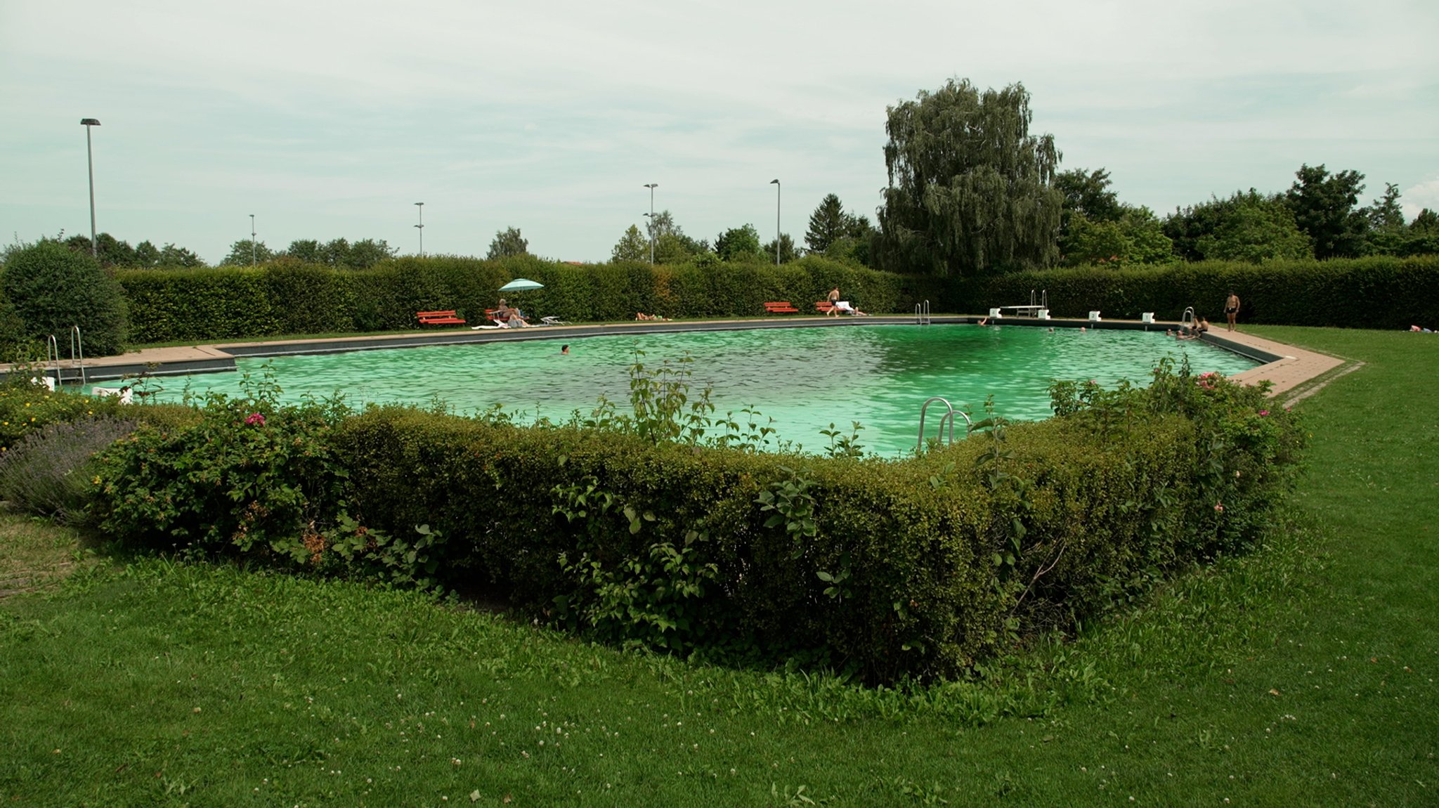 Das 50-Meter-Becken im Wiggensbacher Freibad.