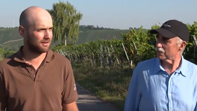Winzer Simon Trost und Weinbau-Präsident Artur Steinmann im Weinberg.