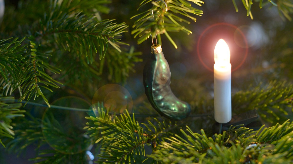 (Symbolbild) Eine Christbaumkugel in Form einer Essiggurke hängt an einem Christbaum. | Bild: picture alliance/dpa/dpa-Zentralbild | Volkmar Heinz (Symbolbild) Eine Christbaumkugel in Form einer Essiggurke hängt an einem Christbaum.