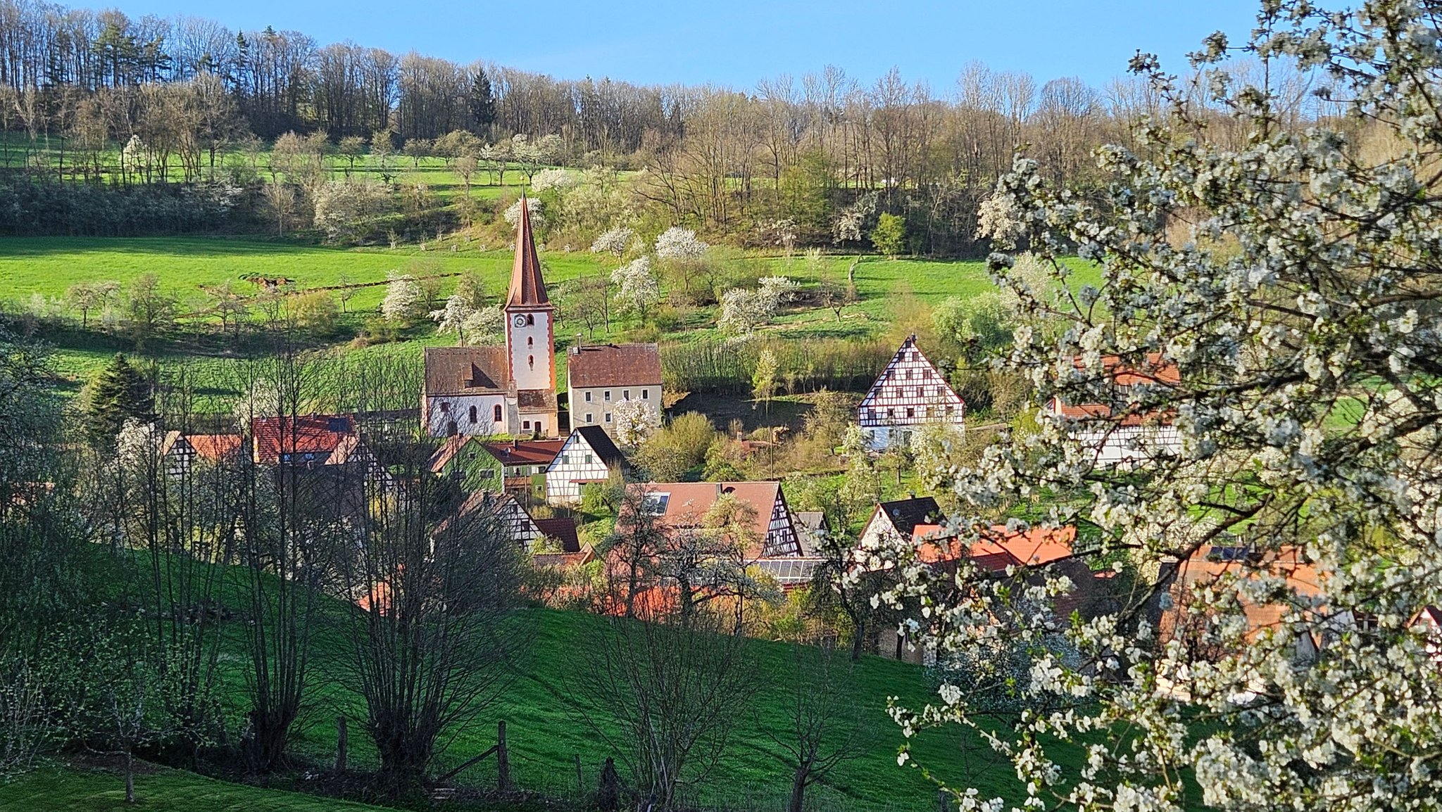 Obstbaumblüte in Oberkrumbach im Landkreis Nürnberger Land. | Bild: Peggy Wartlik Obstbaumblüte in Oberkrumbach im Landkreis Nürnberger Land.