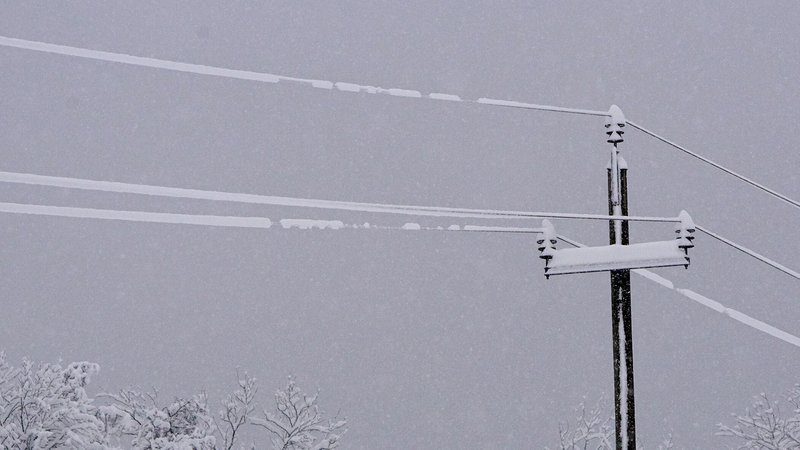 Symbolbild: Schnee auf einer Stromleitung | Bild: picture alliance / Alois Litzlbauer / picturedesk.com | Alois Litzlbauer Symbolbild: Schnee auf einer Stromleitung