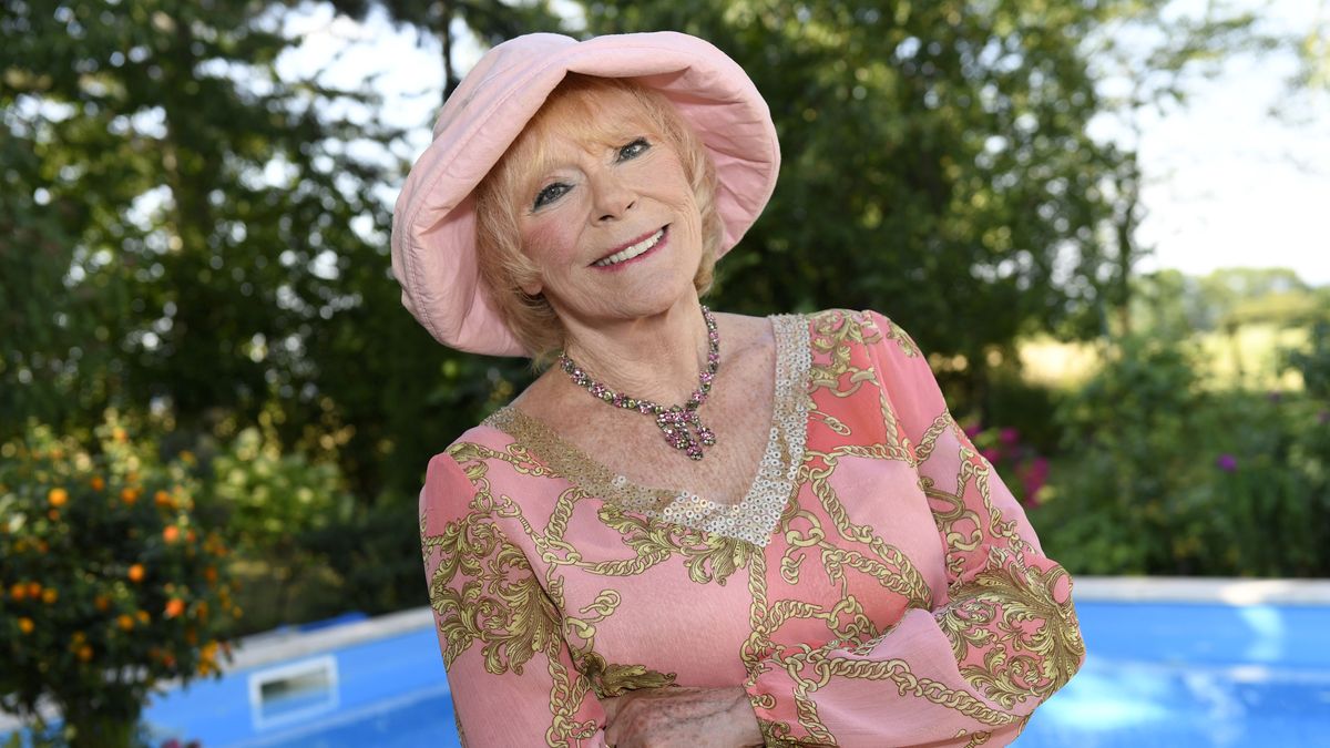 elke sommer vermögen