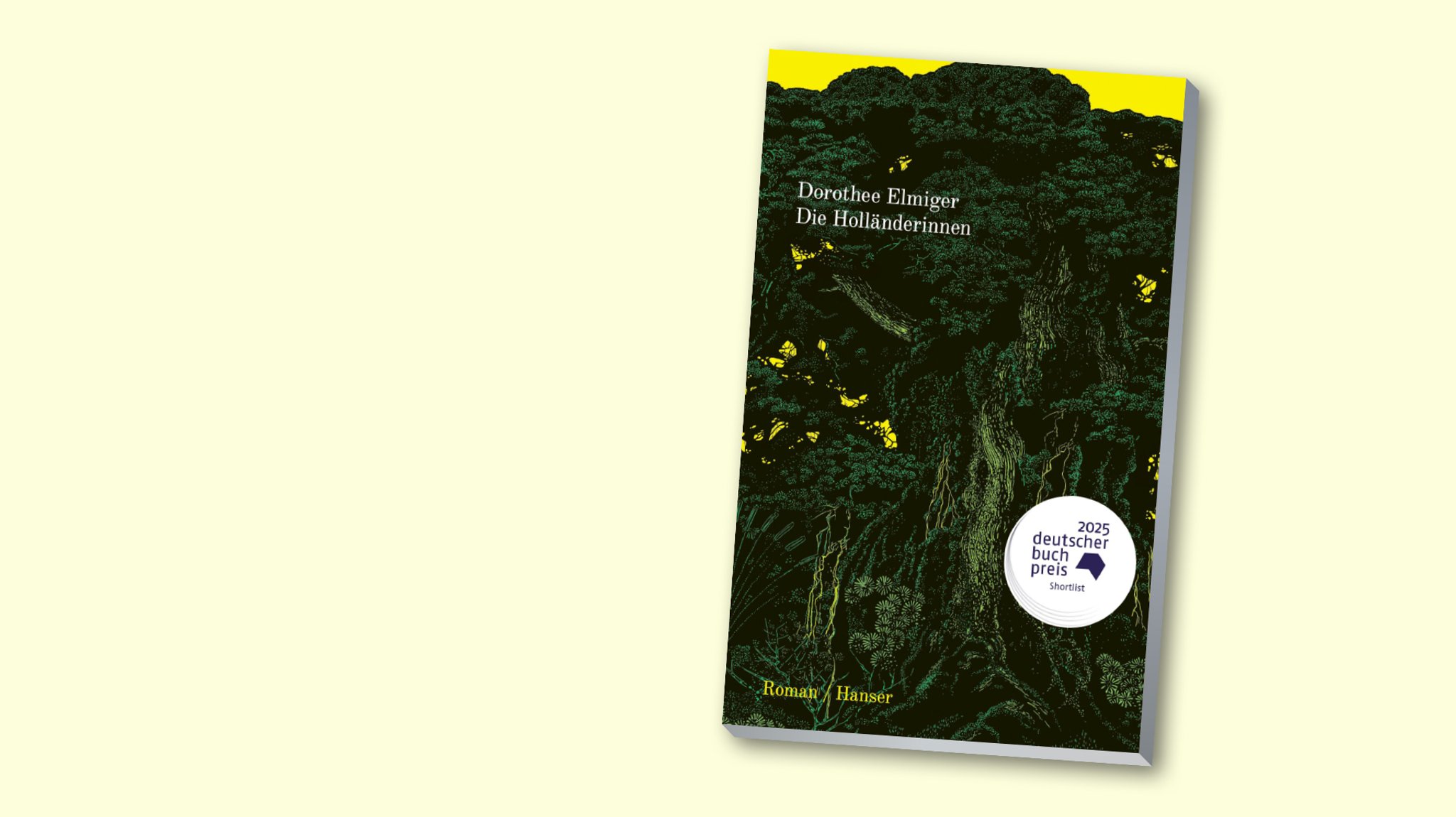 "Die Holländerinnen" von Dorothee Elmiger, erschienen im Carl Hanser Verlag