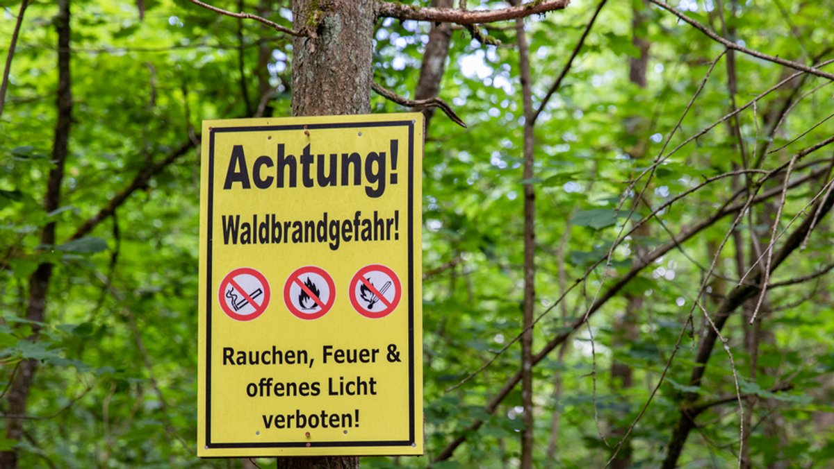 Schild im Wald mit Aufschrift "Achtung! Waldbrandgefahr!"