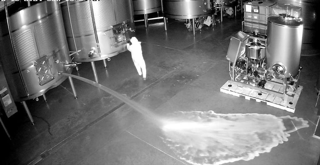 (Archivbild, 19.02.24) Auf der Aufnahme einer Sicherheitskamera ist die Frau zu sehen, die im Lagerraum eines Weinguts Cepa 21 Wein verschüttet. 