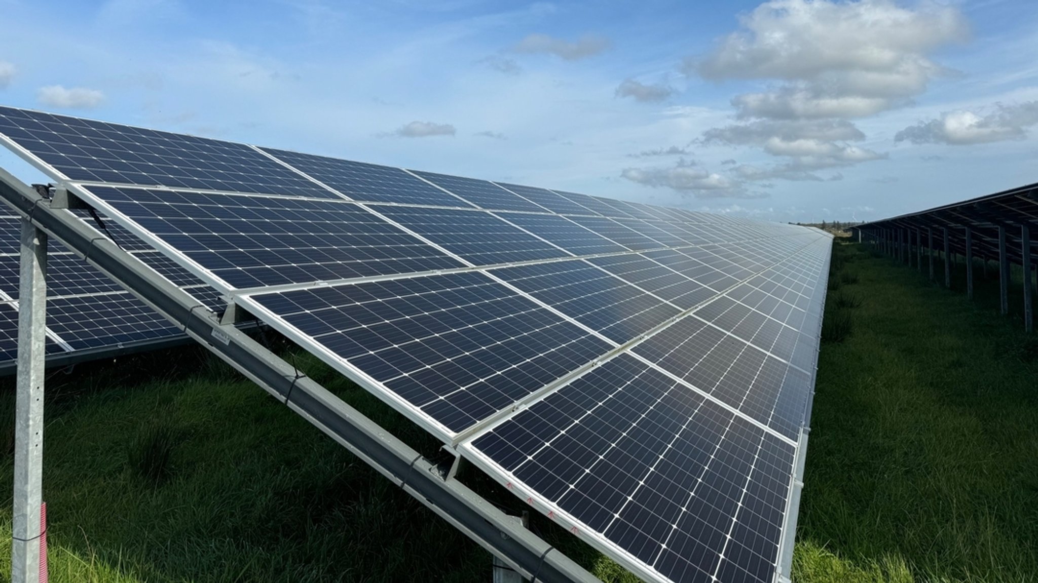 Photoelektrische Module in einem Solarpark 