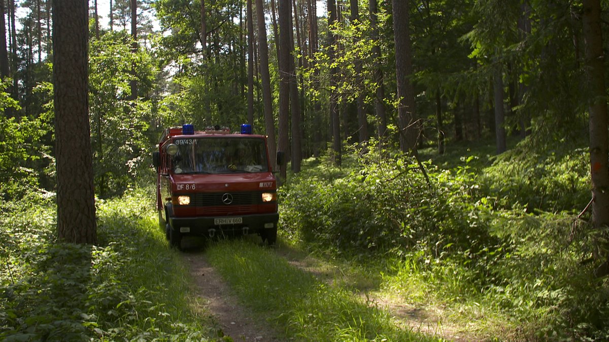 Gefahr durch zu enge Wege im Wald – Kommunen wollen nachrüsten