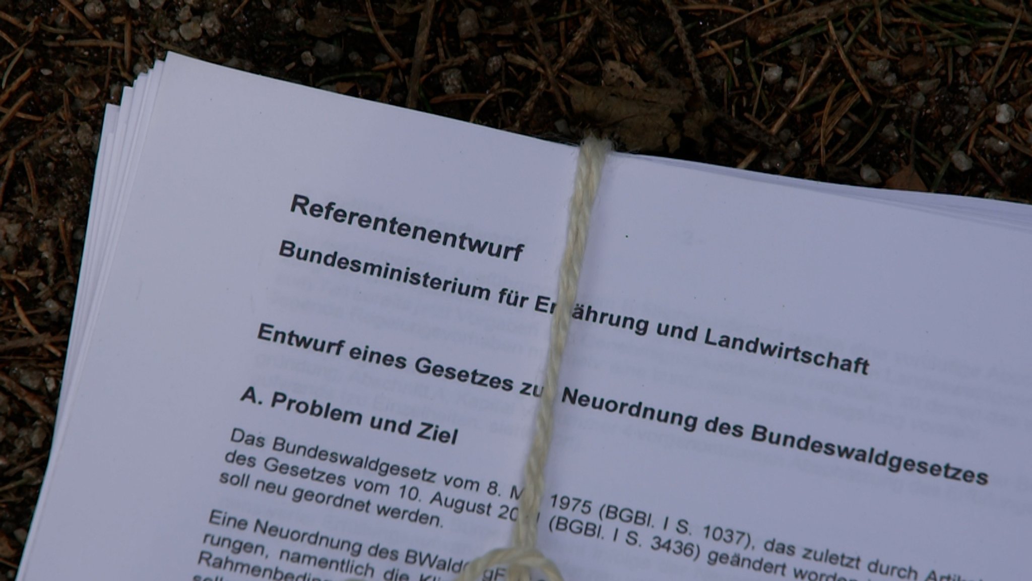 Der Referentenentwurf - er liegt dem BR vor.