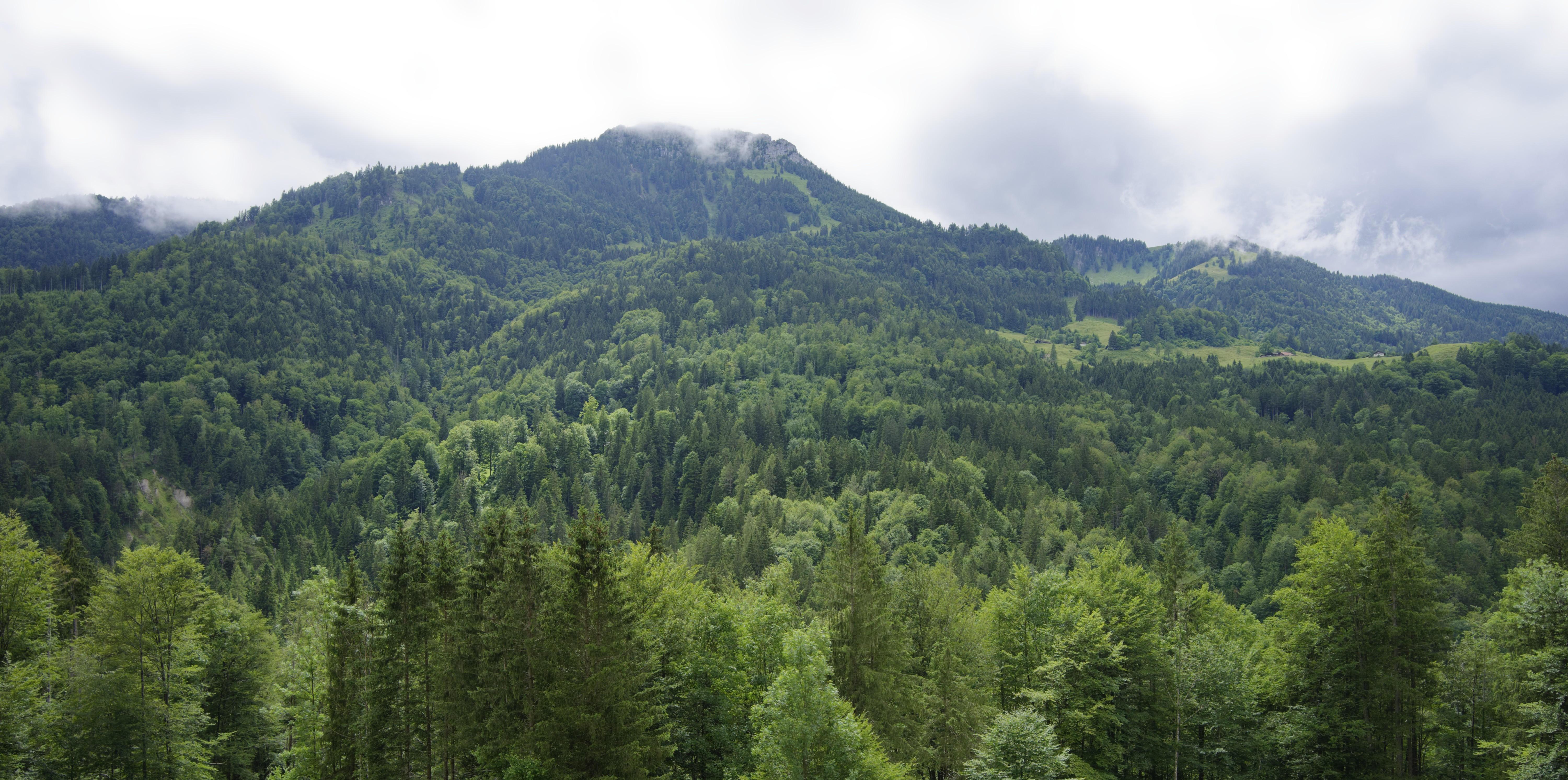 Hiker rescued after 30-metre fall near Oberaudorf