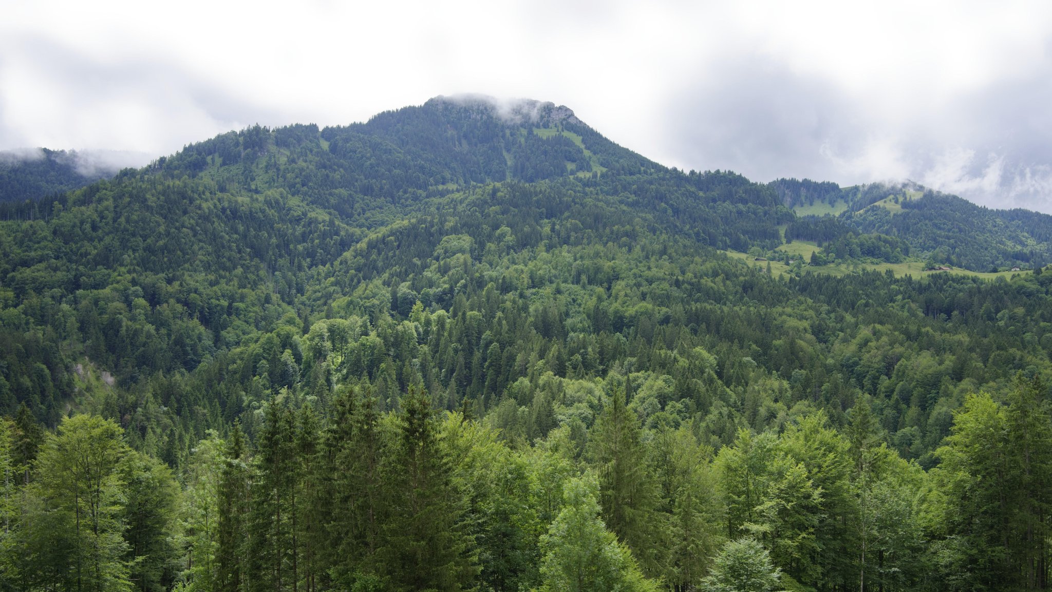 Blick auf den Brünnstein