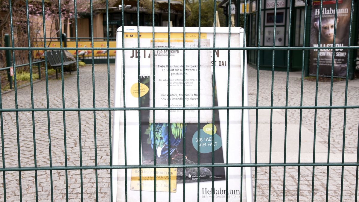Fehlende Einnahmen Unterfrankens Tierparks In Der Corona Krise Br24