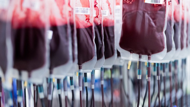 Blutkonserven hängen aufgereiht nebeneinander | Bild: dpa-Bildfunk/Rolf Vennenbernd Blutkonserven hängen aufgereiht nebeneinander