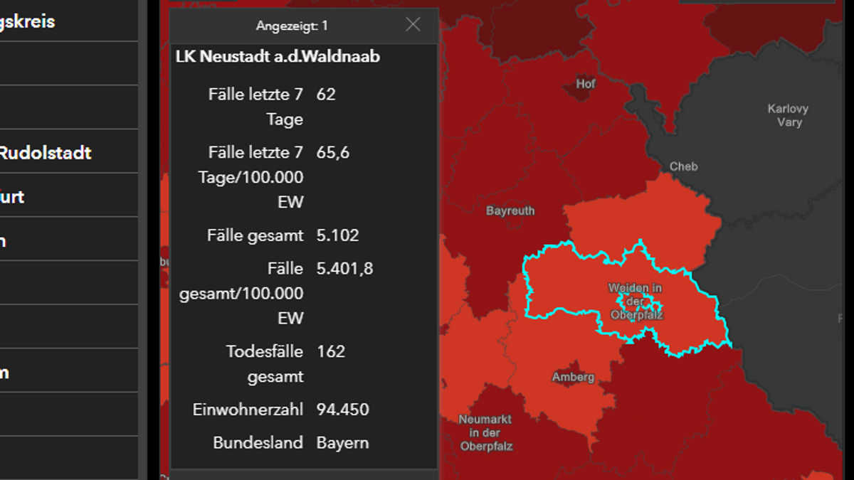 Screenshot Dashboard des Robert-Koch-Instituts - der Landkreis Neustadt an der Waldnaab mit einer Inzidenz von 65,6. 