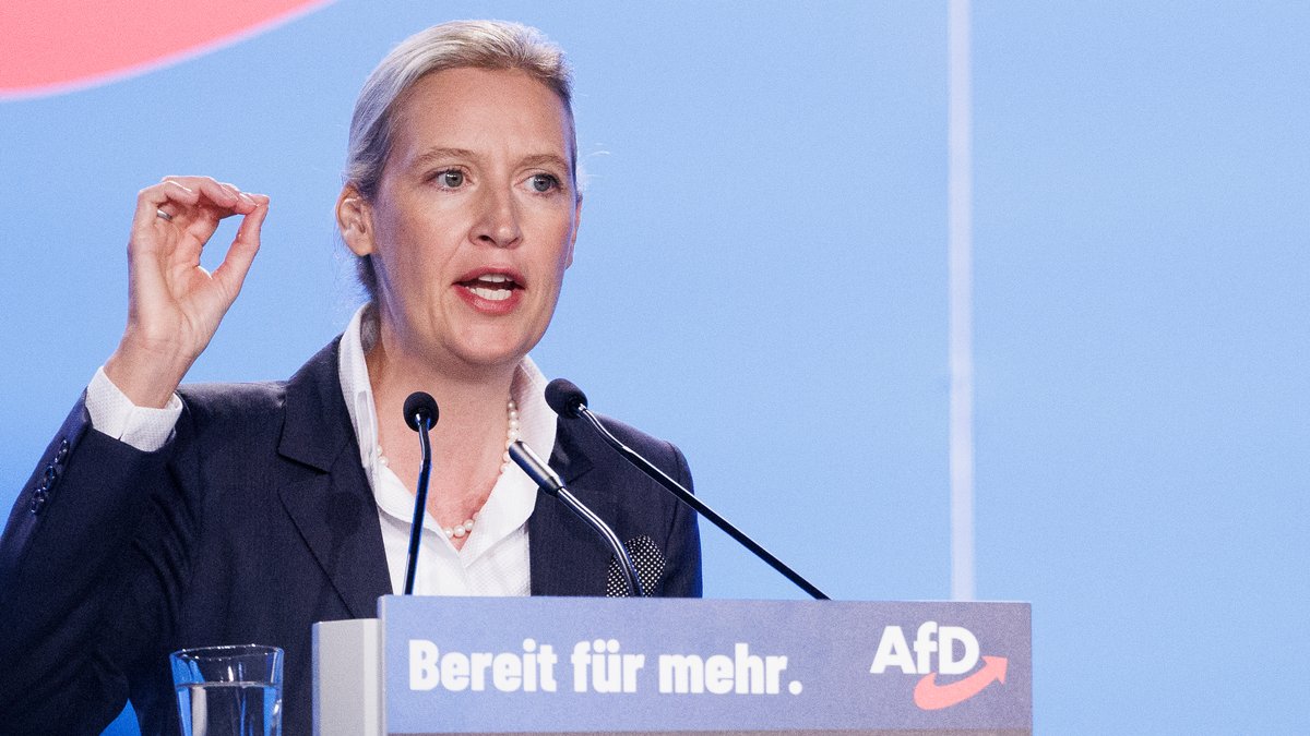 AfD-Chefin Weidel will eine "Festung Europa" bauen