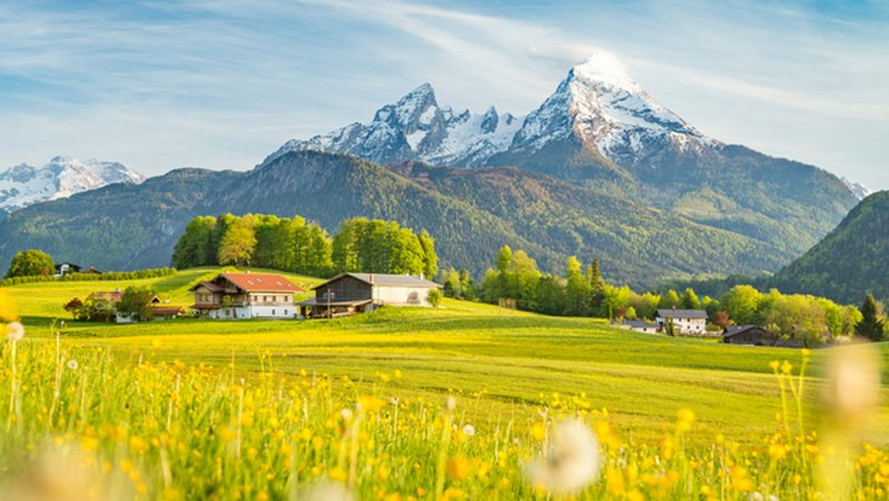 Idyllische Landschaft an einem sonnigen Tag, im Vordergrund eine farbenfrohe Blumenwiese mit Blick auf den schneebedeckten Watzmann. | Bild: stock.adobe.com/JFL Photography Idyllische Landschaft an einem sonnigen Tag, im Vordergrund eine farbenfrohe Blumenwiese mit Blick auf den schneebedeckten Watzmann.
