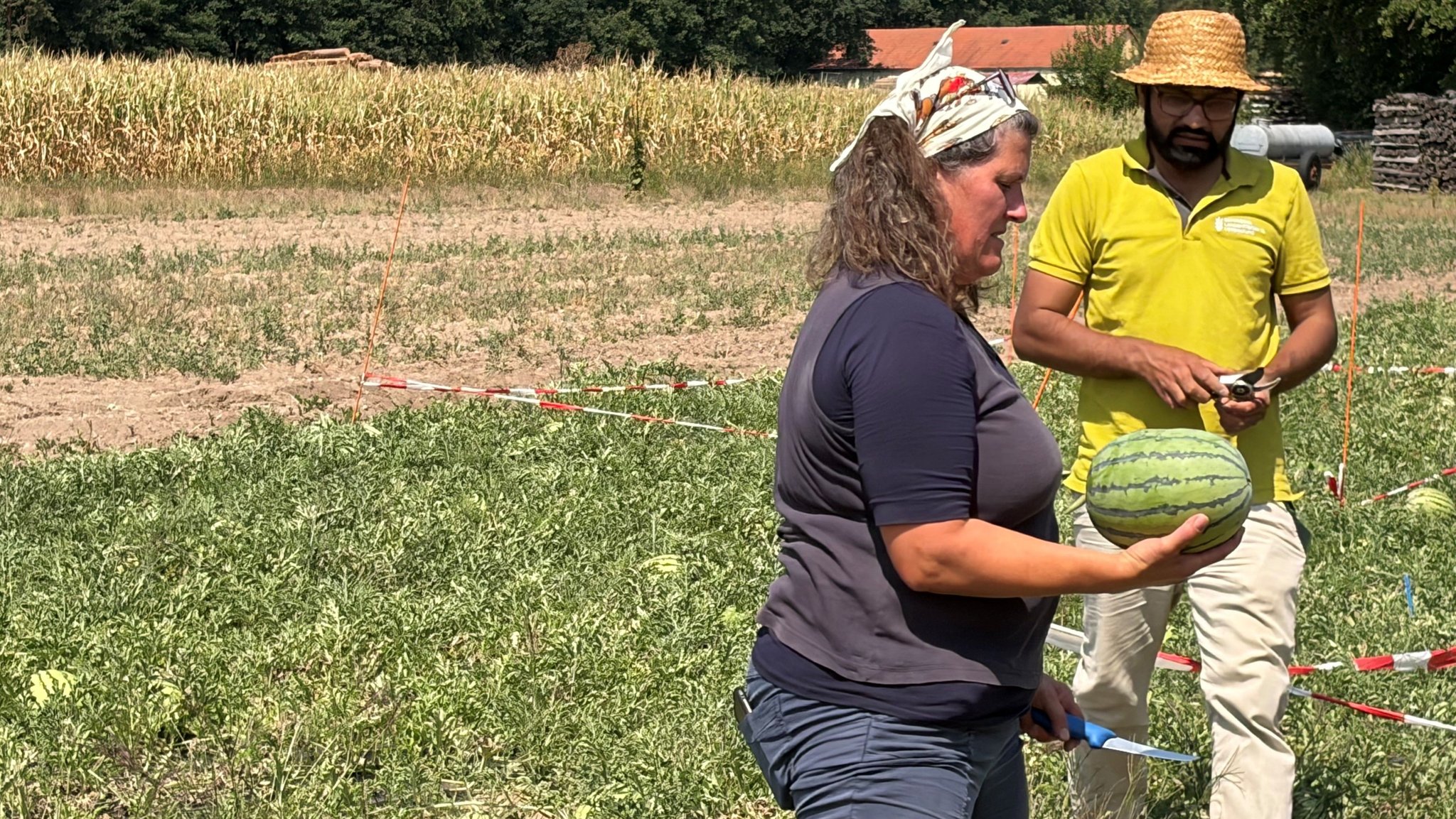 Bio-Landwirtin Conny Raab und Muhammad Hafeez Ul Barkat vom LWG begutachten eine Melone.