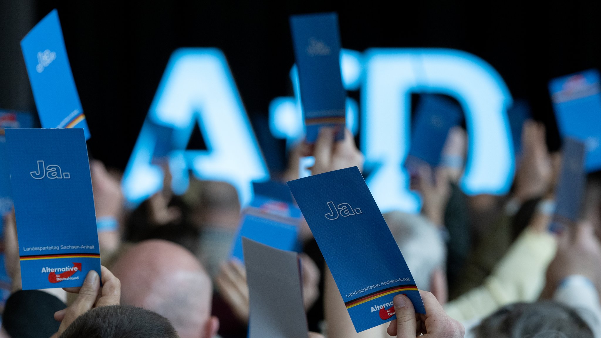 Delegierte  beim AfD-Parteitag 